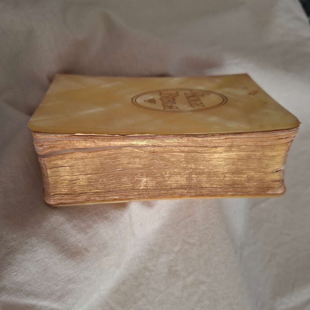 Holy Bible - St James - Brides faux mother of pearl bible - celluloid