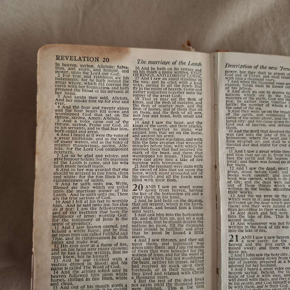 Holy Bible - St James - Brides faux mother of pearl bible - celluloid