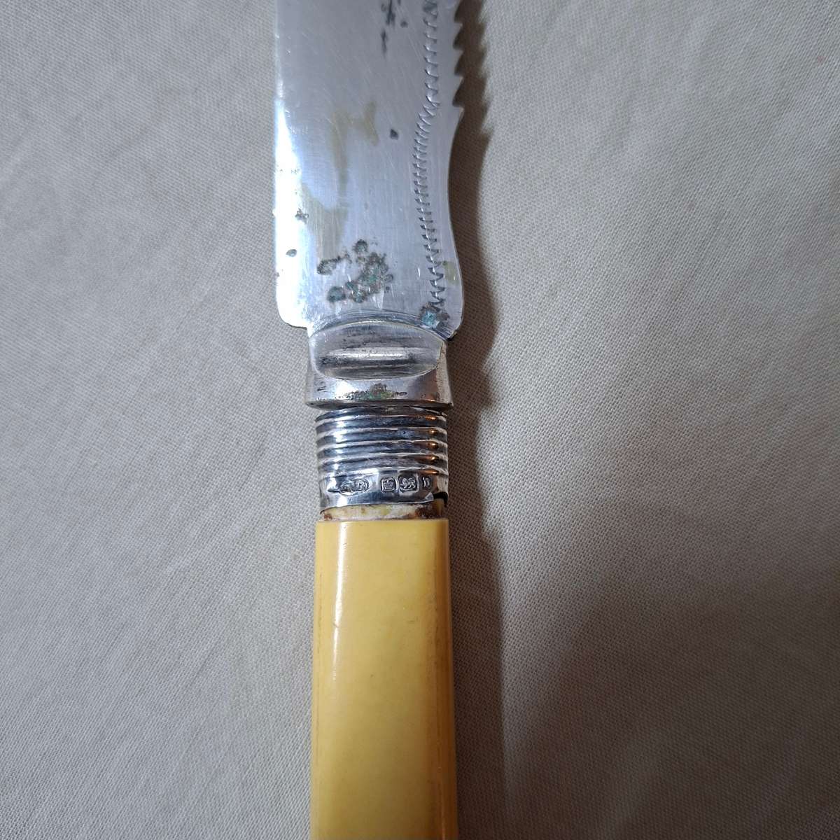 Antique Bread cake knife with silver hall marked collar - pretty etched design