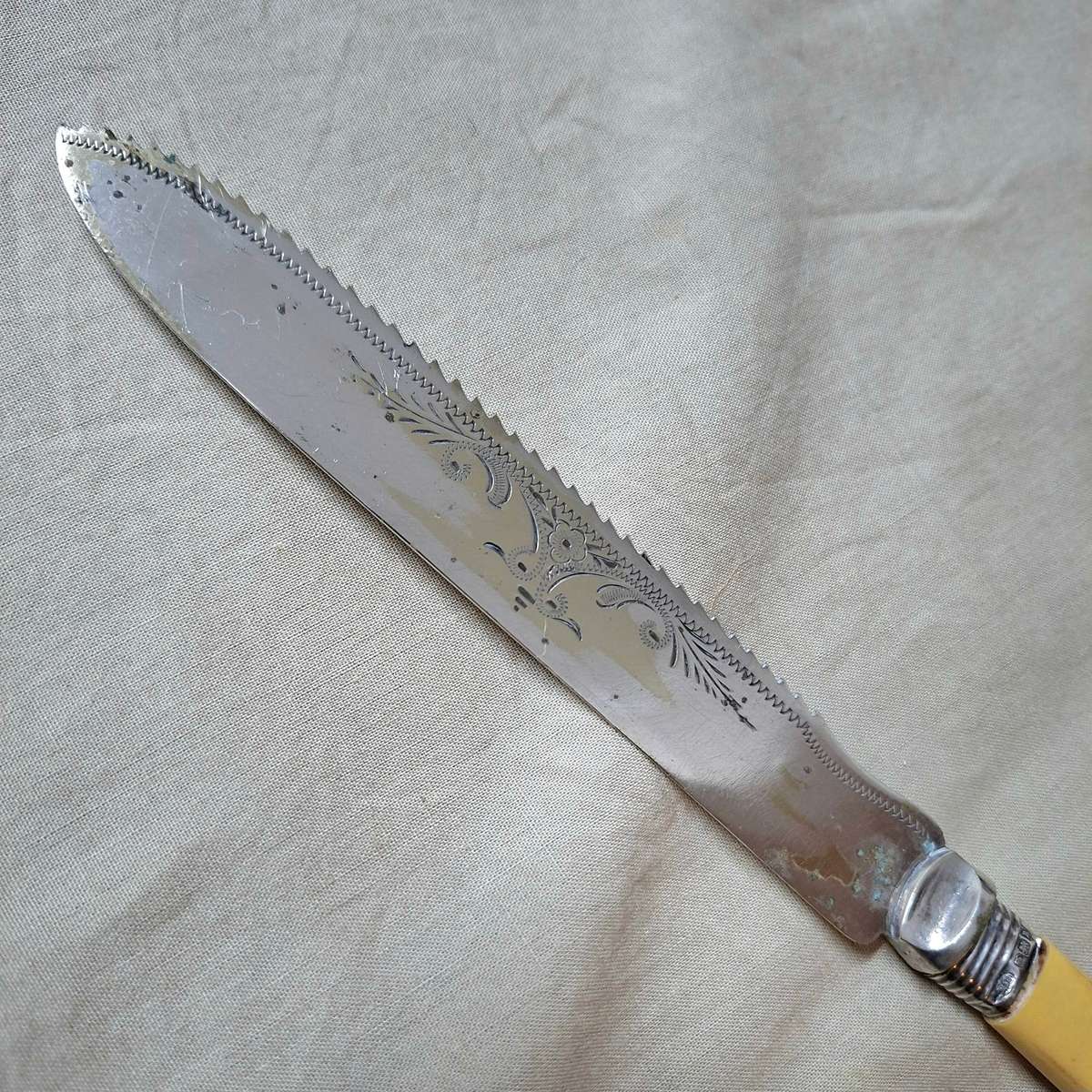 Antique Bread cake knife with silver hall marked collar - pretty etched design