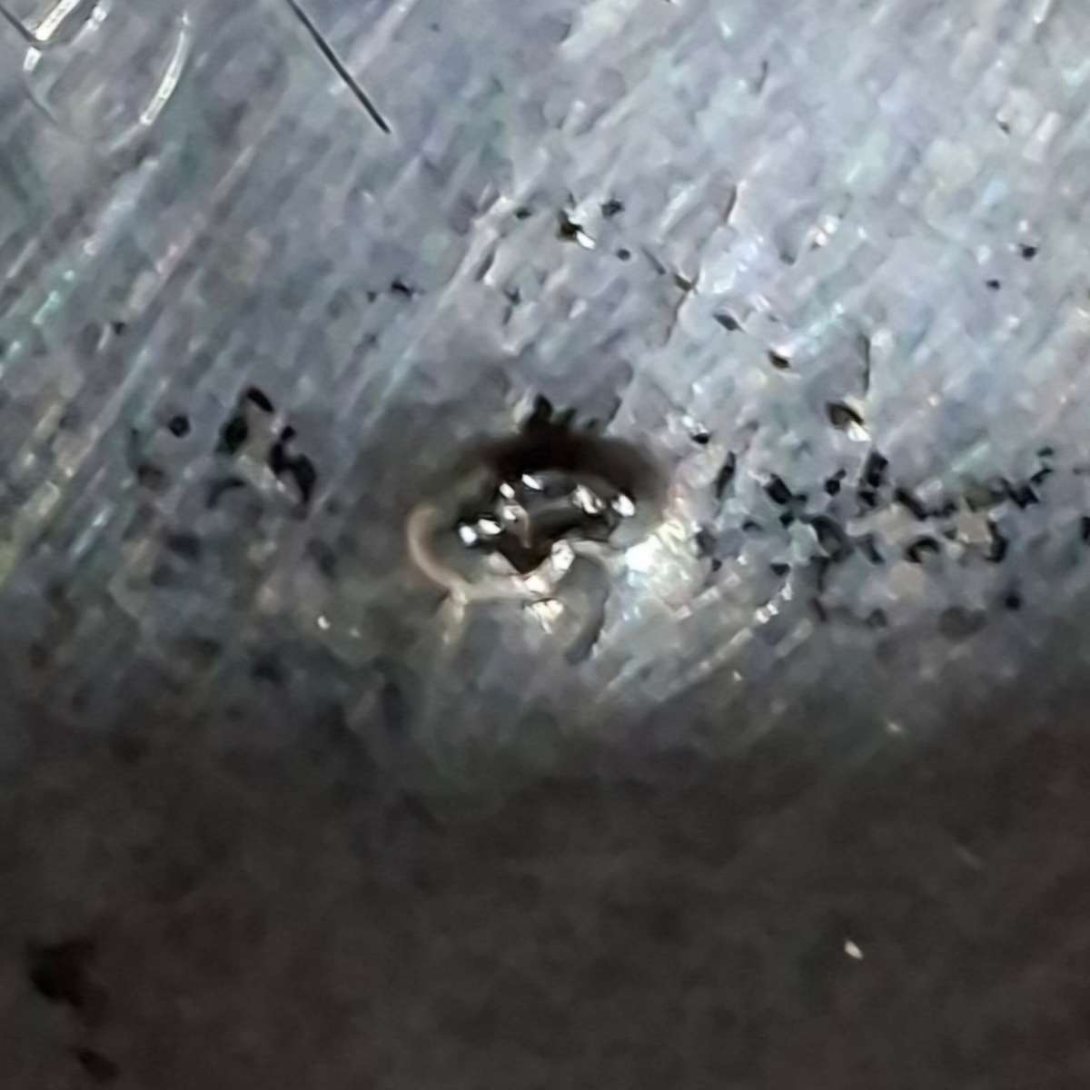 Silver trimmed perfume bottle - Antique dutch