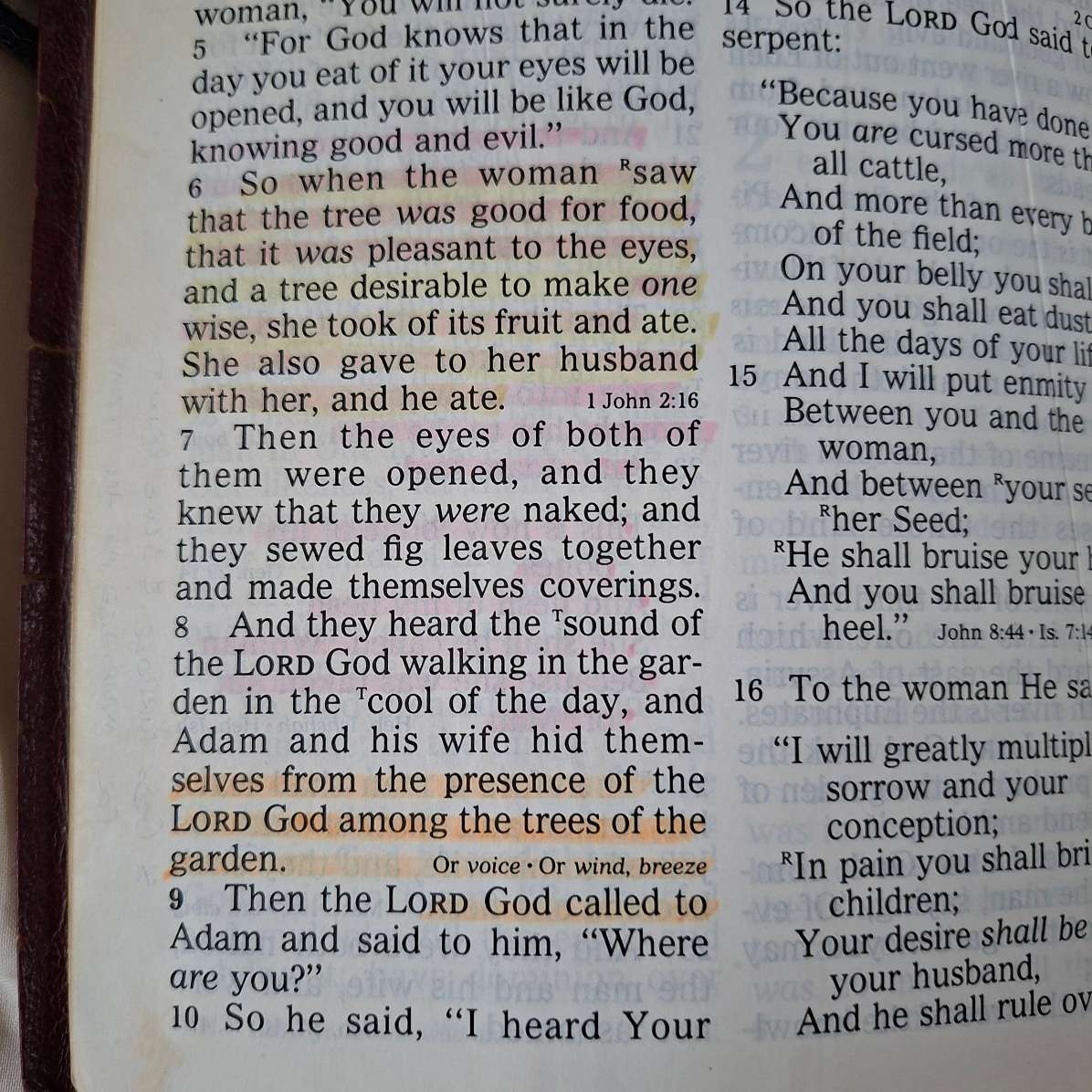 Holy Bible New King James Version - Large Print