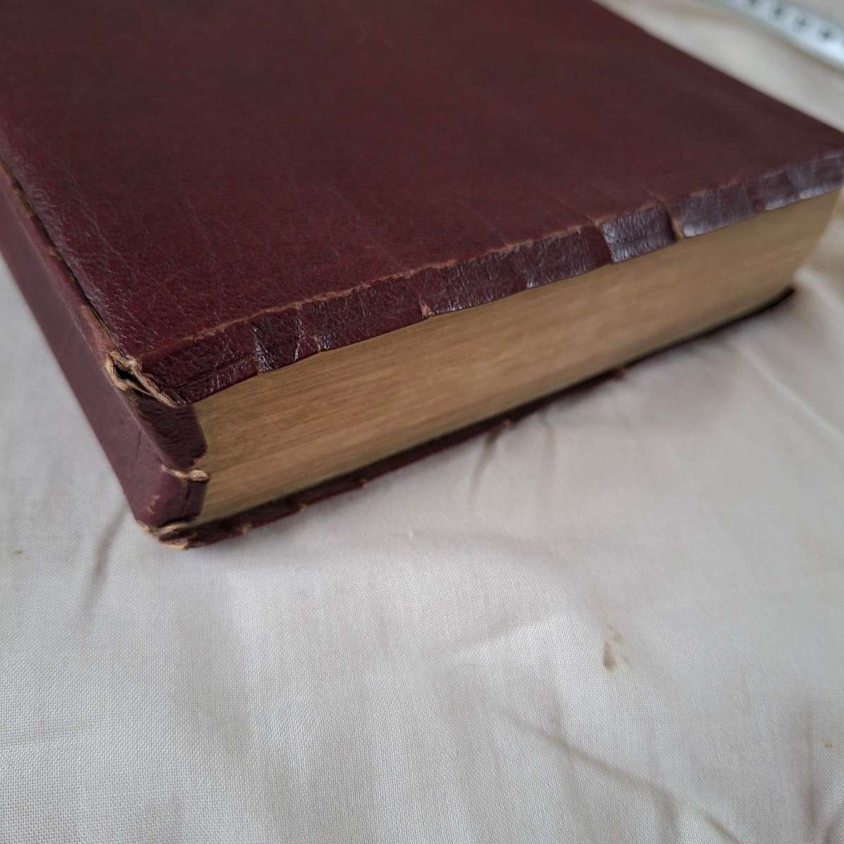 Holy Bible New King James Version - Large Print