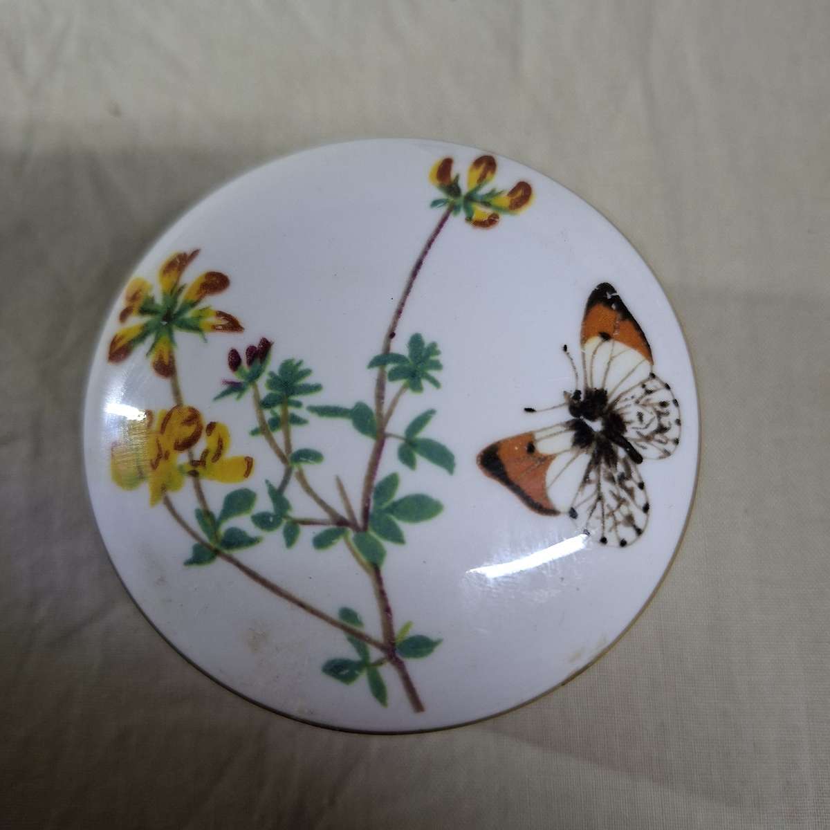 Pill box fine english porcelain - Spring - diary of a victorian lady  6.6 cms dia approx