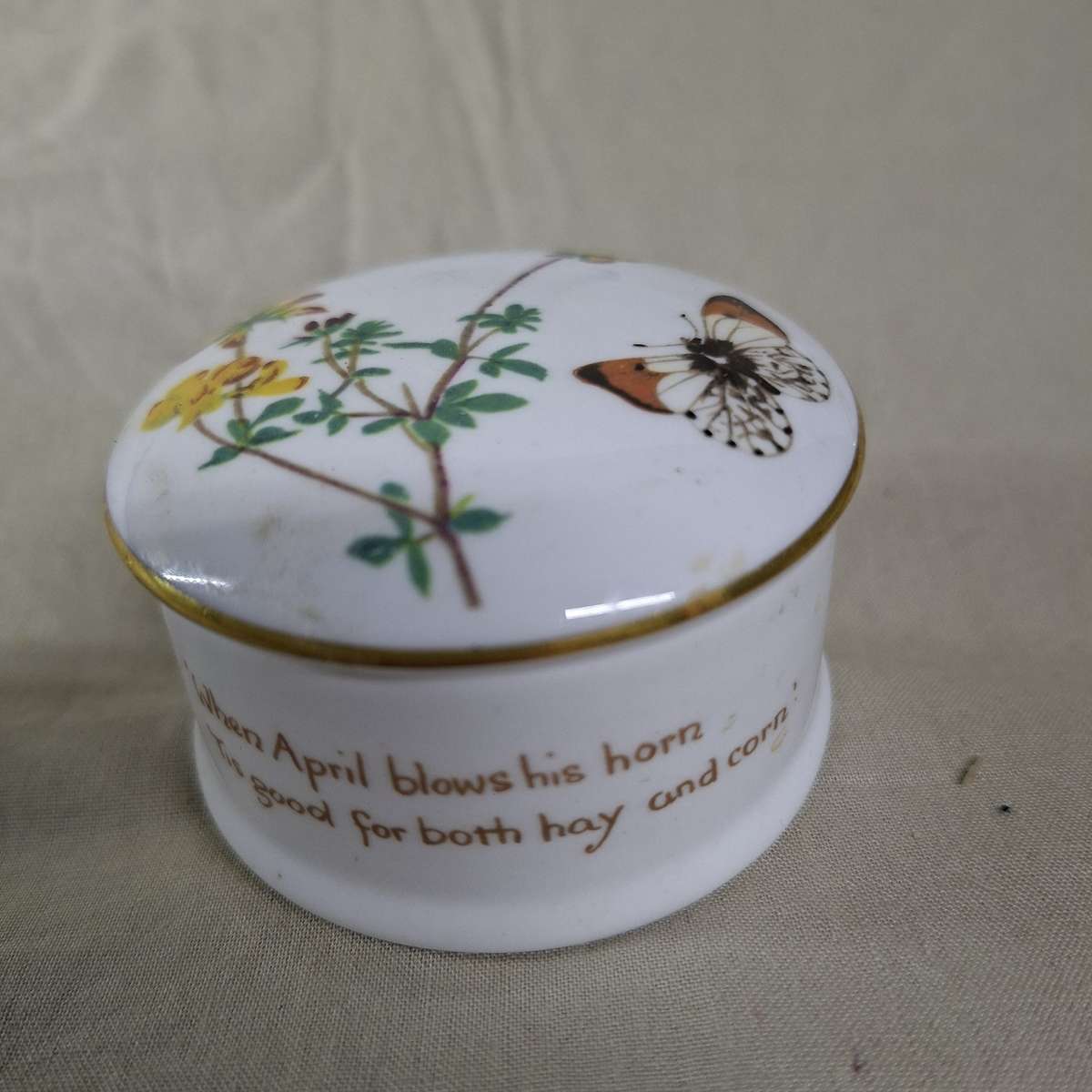 Pill box fine english porcelain - Spring - diary of a victorian lady  6.6 cms dia approx