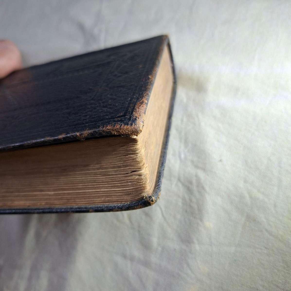 Antique Bible Gaelic Welsh - Y Bibl - leather bound