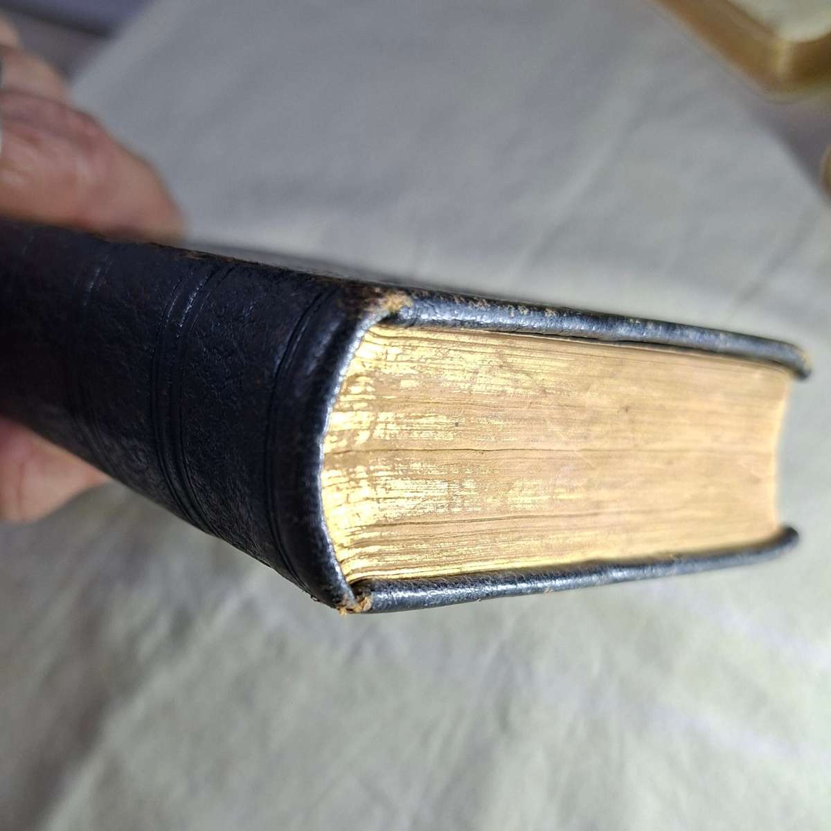 Antique Bible Gaelic Welsh - Y Bibl - leather bound