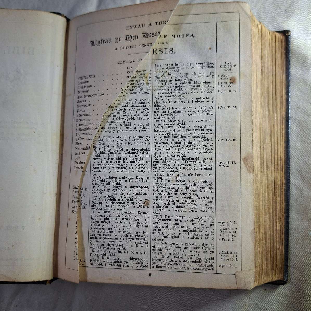 Antique Bible Gaelic Welsh - Y Bibl - leather bound