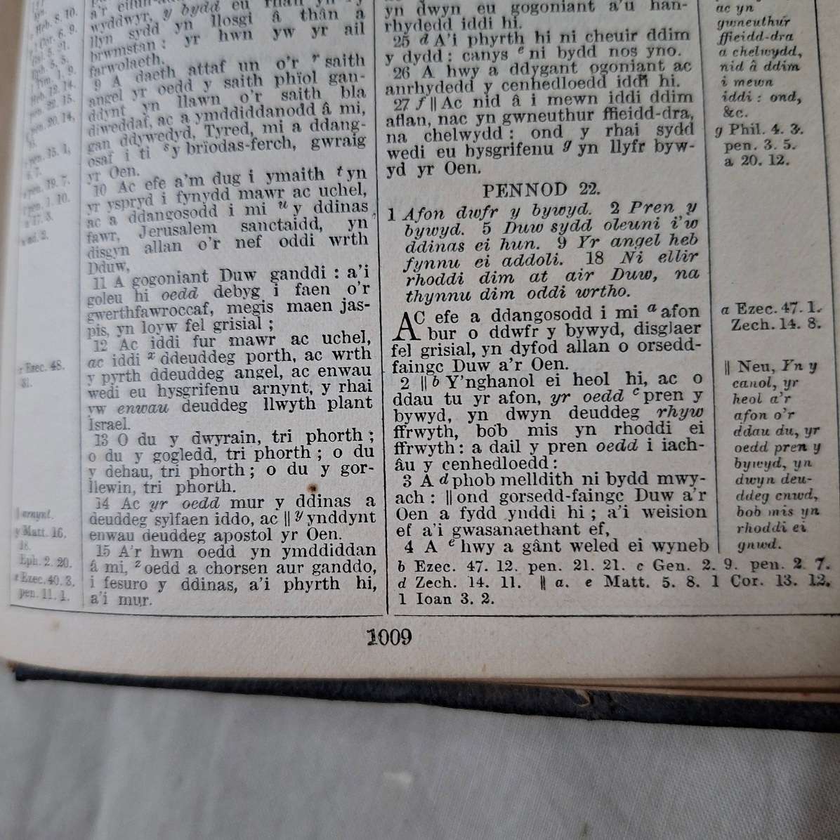 Antique Bible Gaelic Welsh - Y Bibl - leather bound