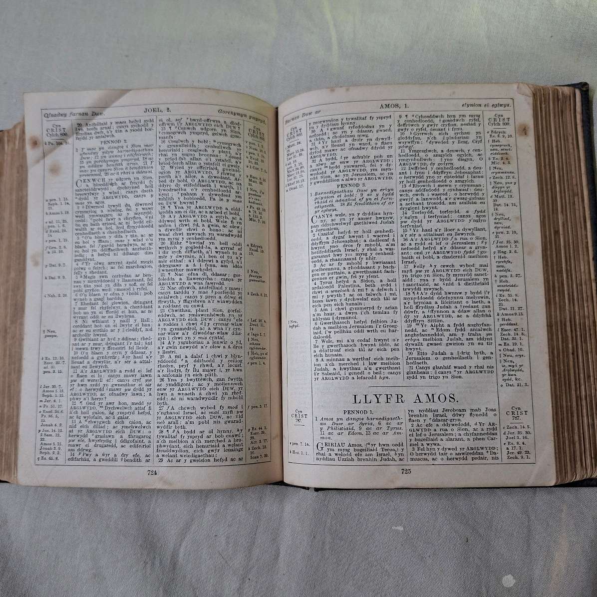 Antique Bible Gaelic Welsh - Y Bibl - leather bound
