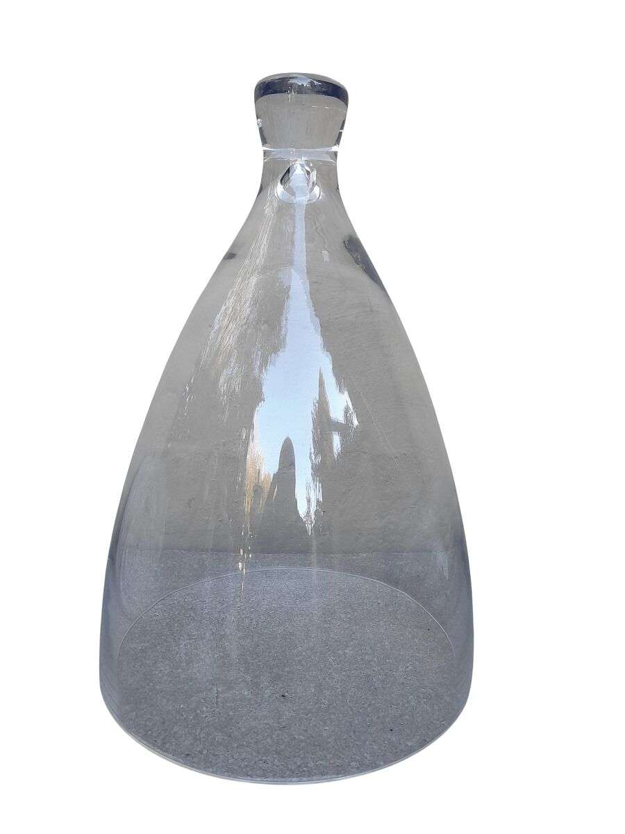 A Decorative Glass Cloche / Dome