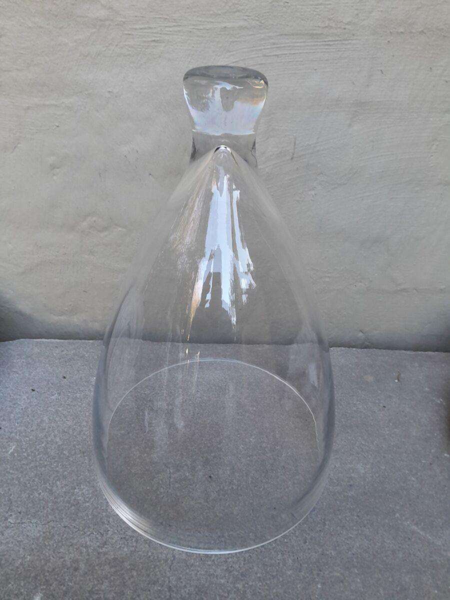 A Decorative Glass Cloche / Dome