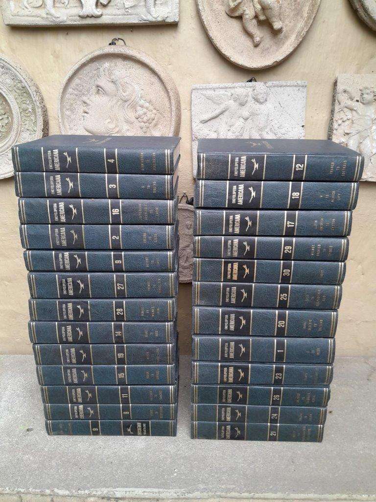 A 19th Century Set Of 25 Britannica Americana Encyclopaedia International Edition
