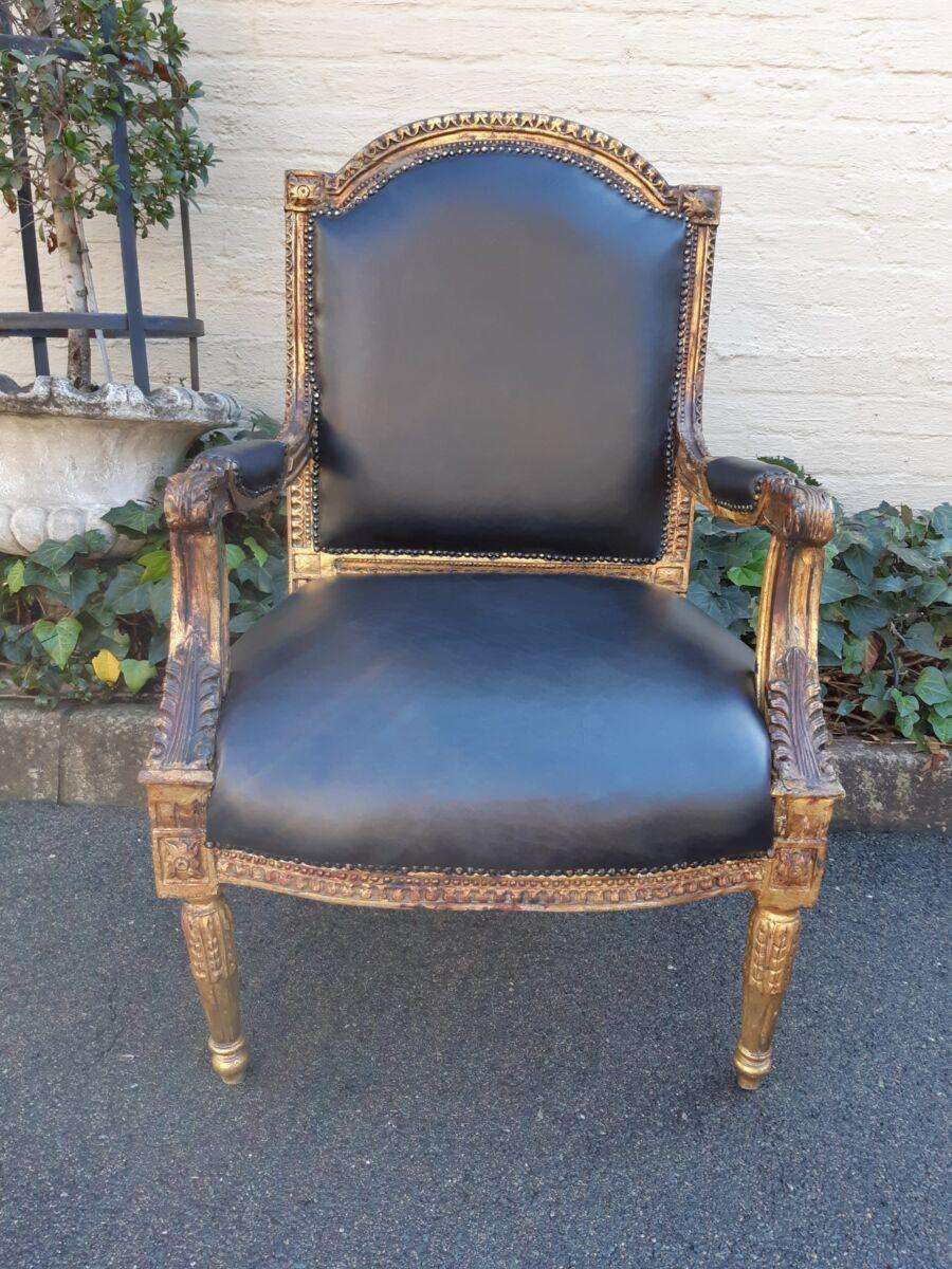 Gilded Armchair in Leather (Single) ND