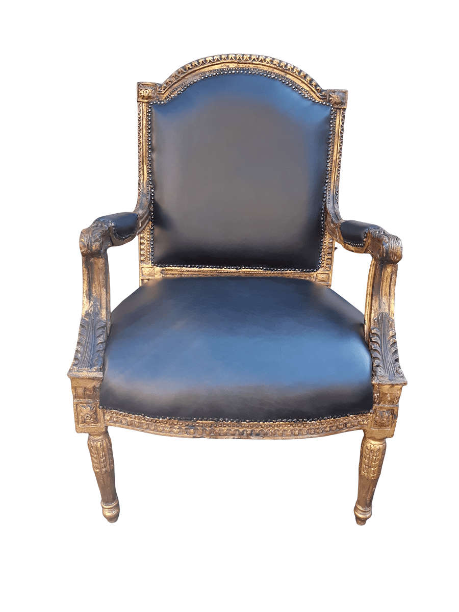 Gilded Armchair in Leather (Single) ND
