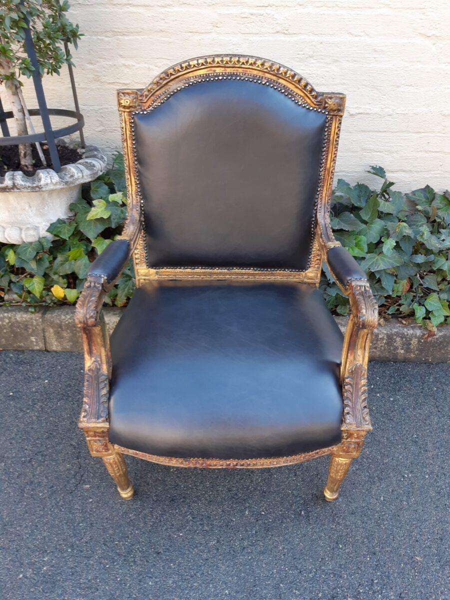 Gilded Armchair in Leather (Single) ND