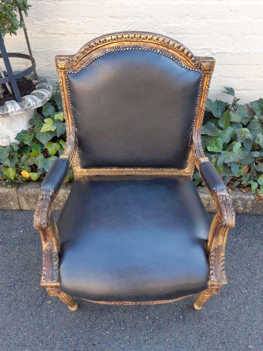 Gilded Armchair in Leather (Single) ND