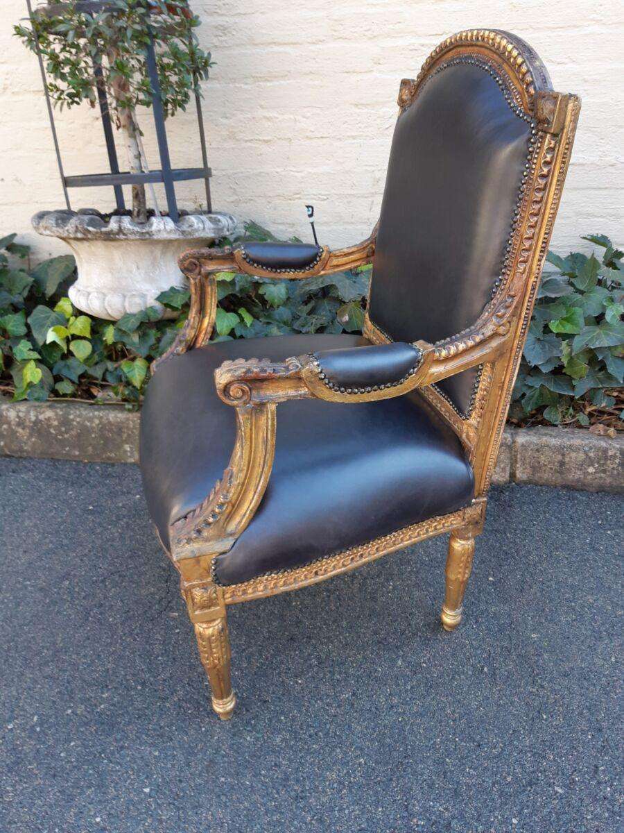 Gilded Armchair in Leather (Single) ND