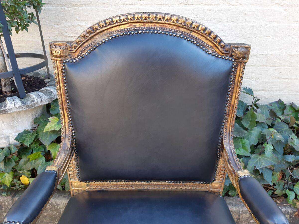 Gilded Armchair in Leather (Single) ND
