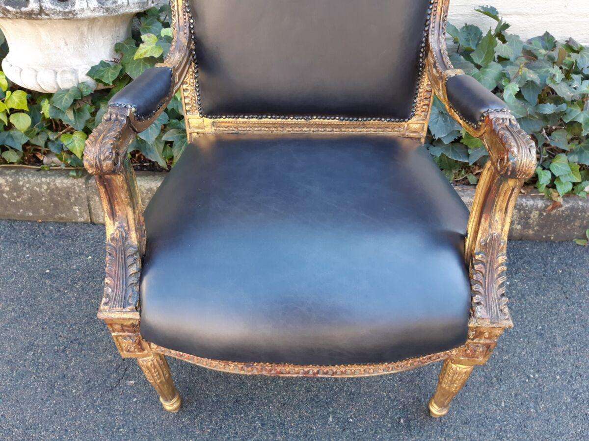 Gilded Armchair in Leather (Single) ND
