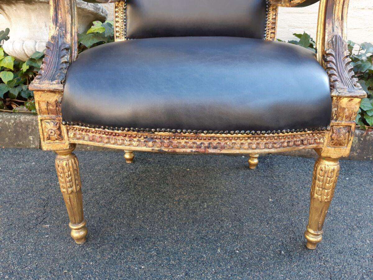 Gilded Armchair in Leather (Single) ND