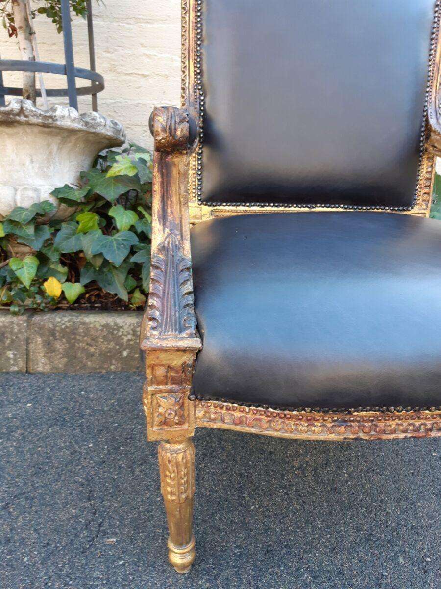 Gilded Armchair in Leather (Single) ND