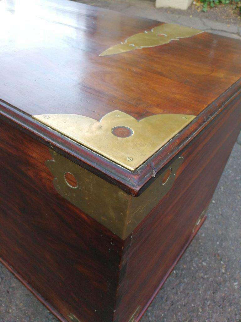 Cape Stinkwood chest, 20th century ND