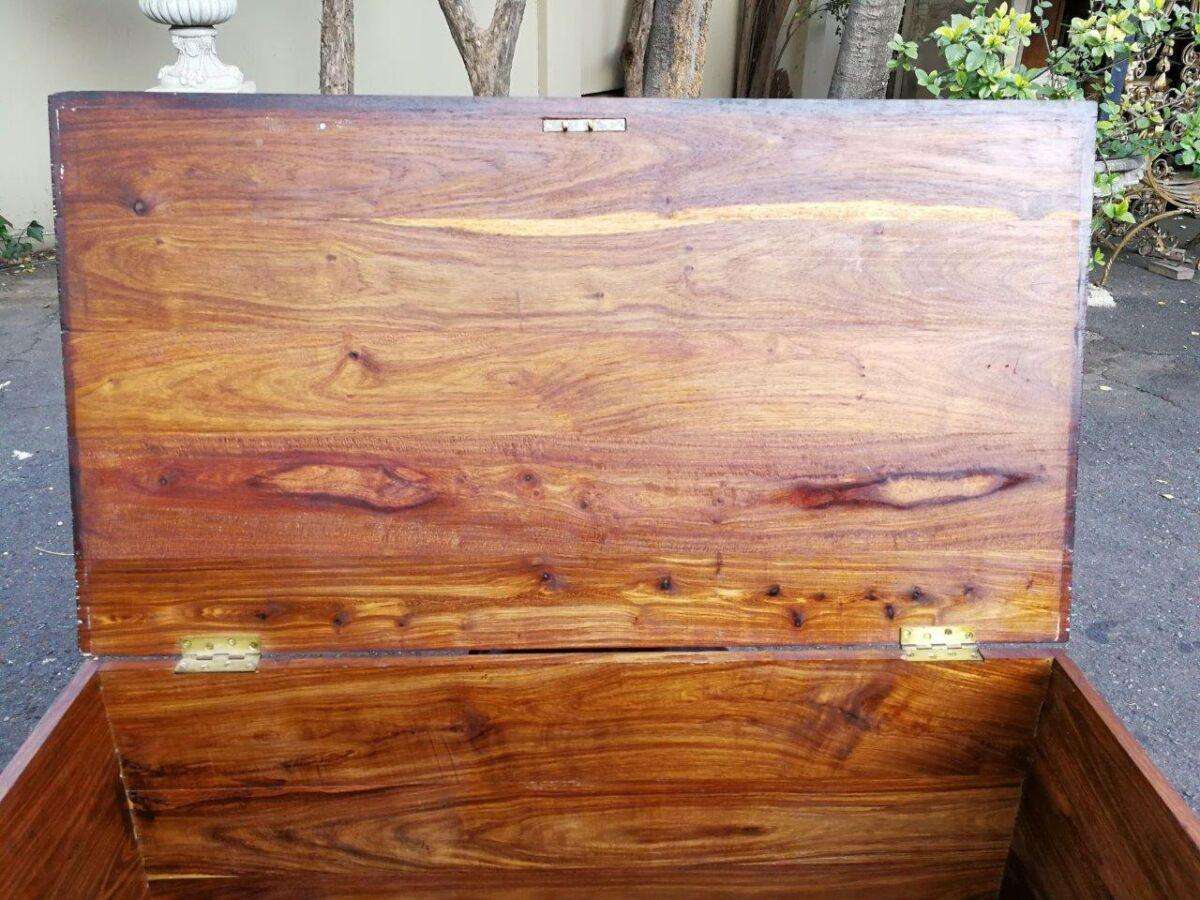 Cape Stinkwood chest, 20th century ND
