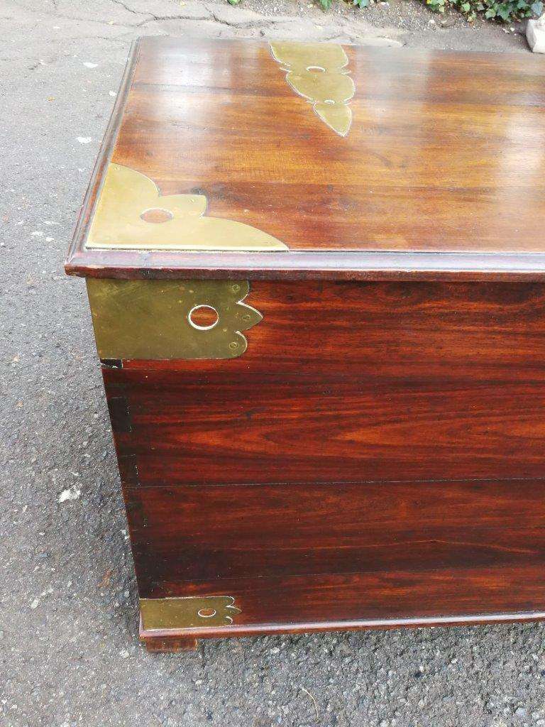 Cape Stinkwood chest, 20th century ND