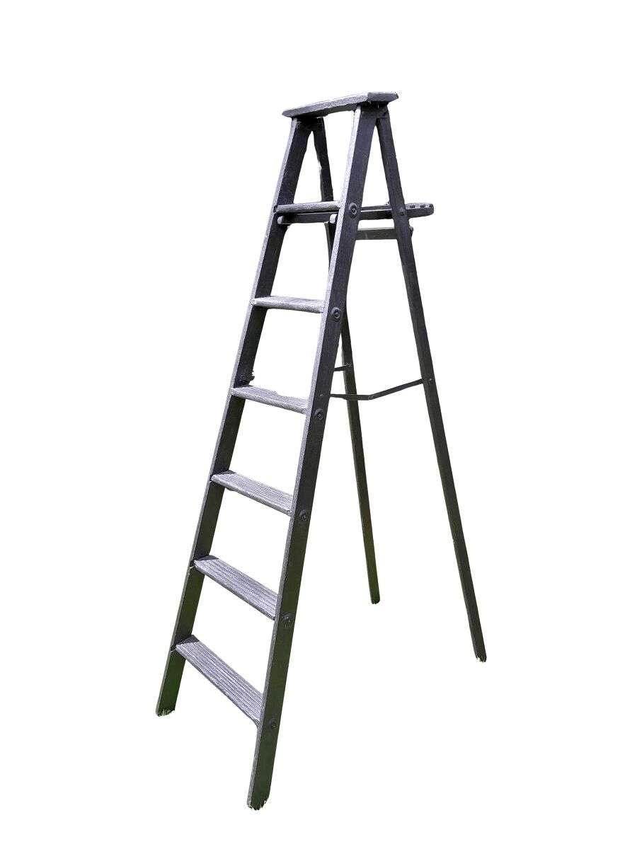 A 20th Century Painted Decorative Study / Library Ladder