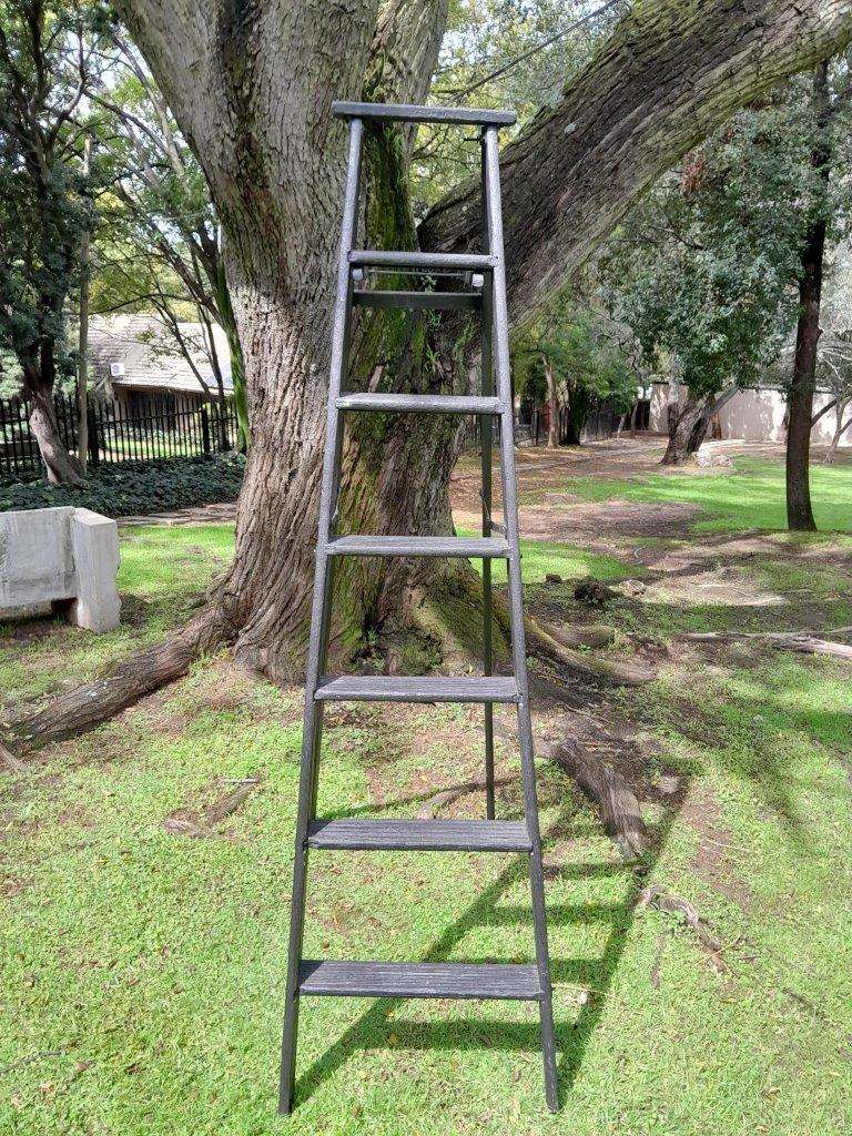 A 20th Century Painted Decorative Study / Library Ladder