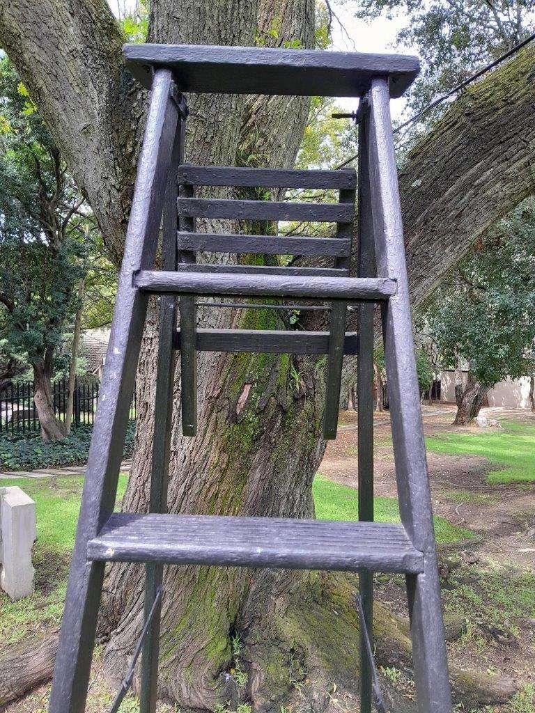 A 20th Century Painted Decorative Study / Library Ladder