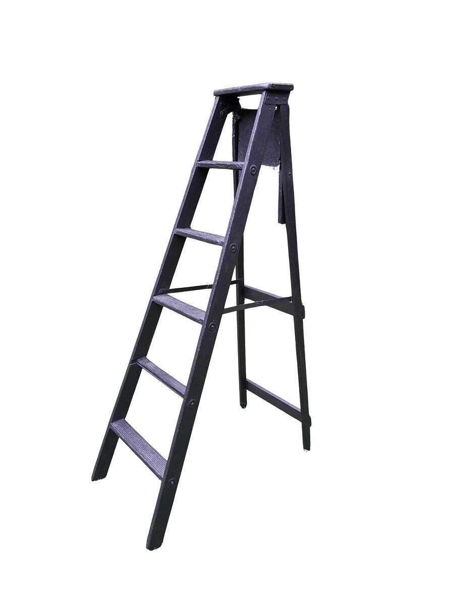 A 20th Century Painted Decorative Study / Library Ladder