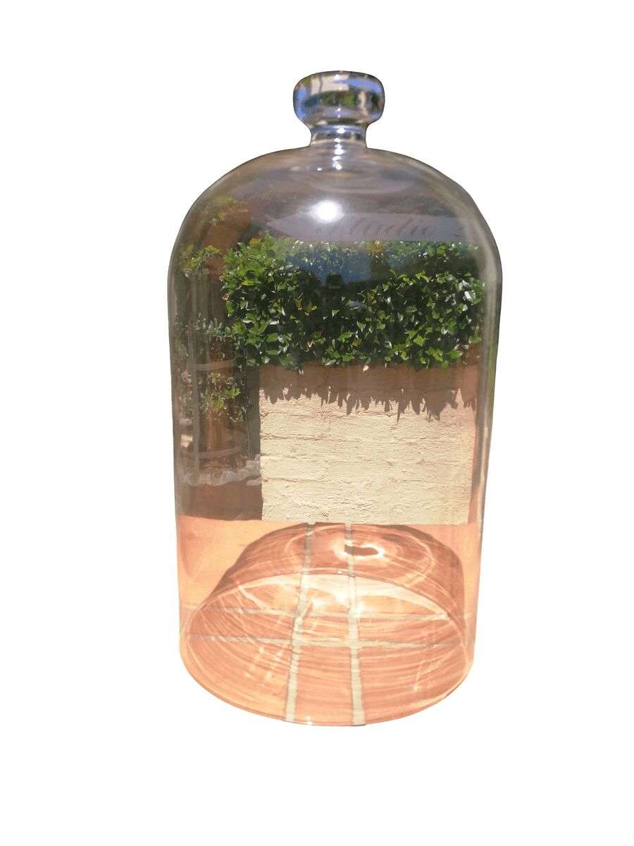 Glass Dome Height 32cm