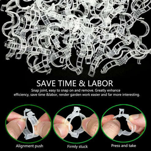 30 Tomato Sandwiches