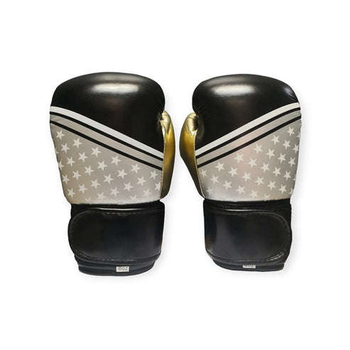Boxing Gloves 8 Oz