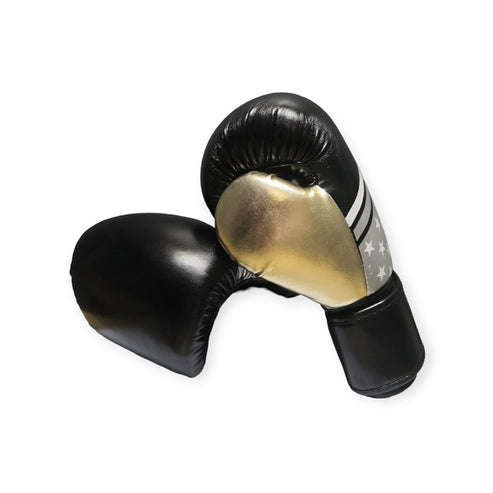 Boxing Gloves 8 Oz