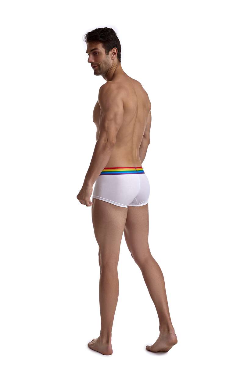 Jockmail Rainbow band Boxer - White