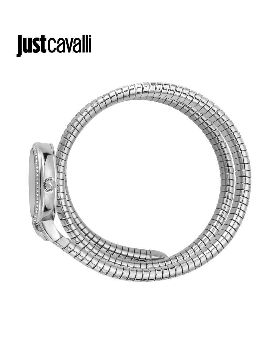 wow! rrp R8,900.00 ROBERO CAVALLI Womens JUST CAVALLI Bangle Viper Double Twist Silver Watch NEW
