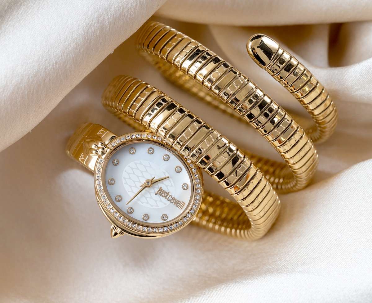 wow! rrp R8,900.00 ROBERO CAVALLI Womens JUST CAVALLI Bangle Viper Double Twist Silver Watch NEW