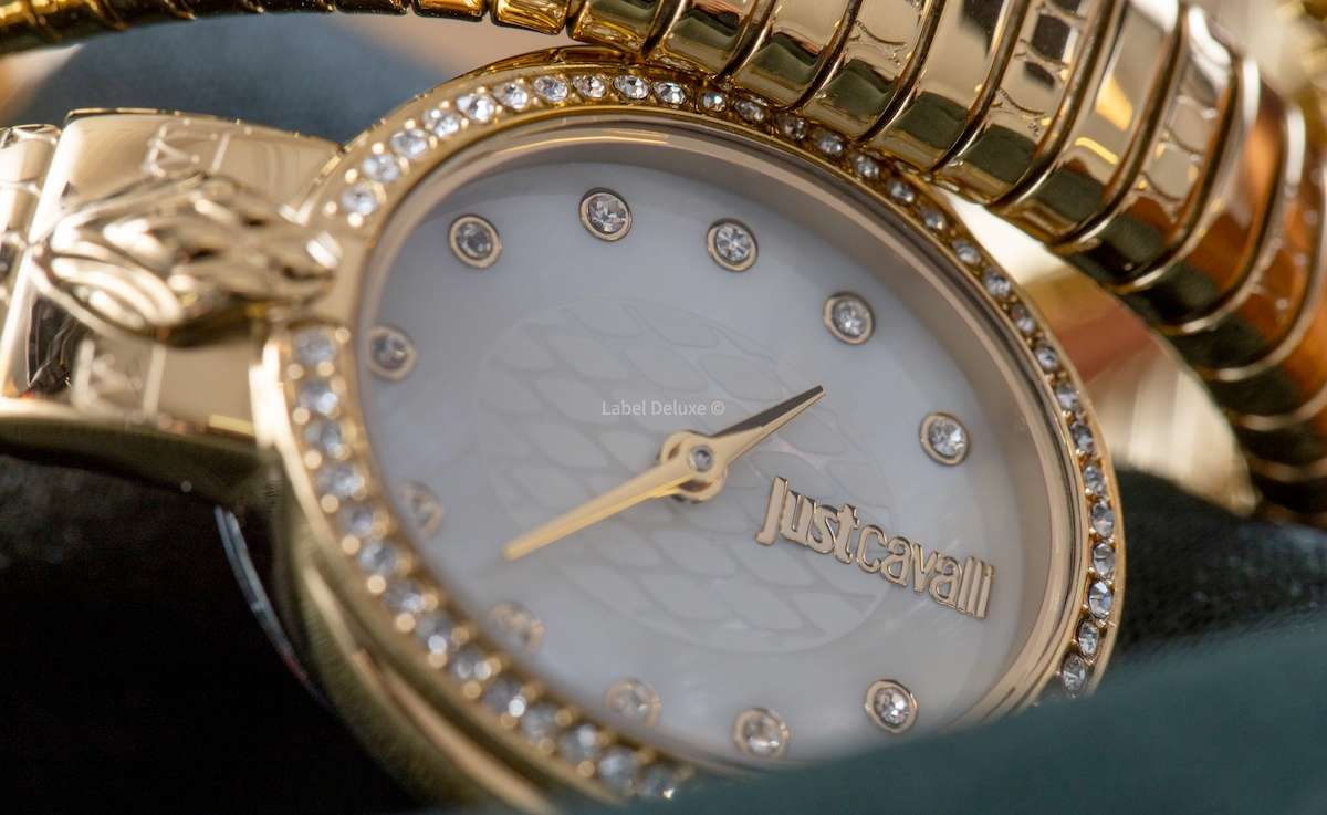 wow! rrp R8,900.00 ROBERO CAVALLI Womens JUST CAVALLI Bangle Viper Double Twist Silver Watch NEW