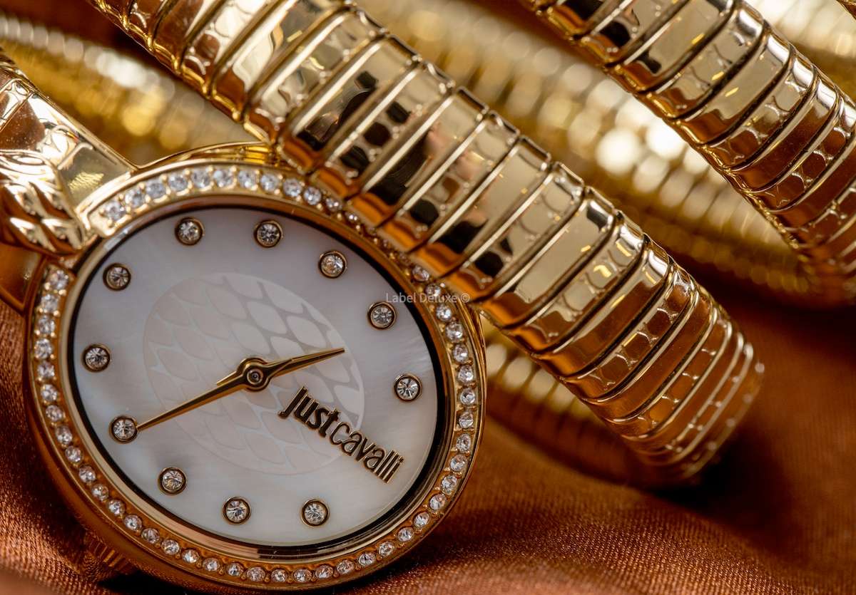 wow! rrp R8,900.00 ROBERO CAVALLI Womens JUST CAVALLI Bangle Viper Double Twist Silver Watch NEW