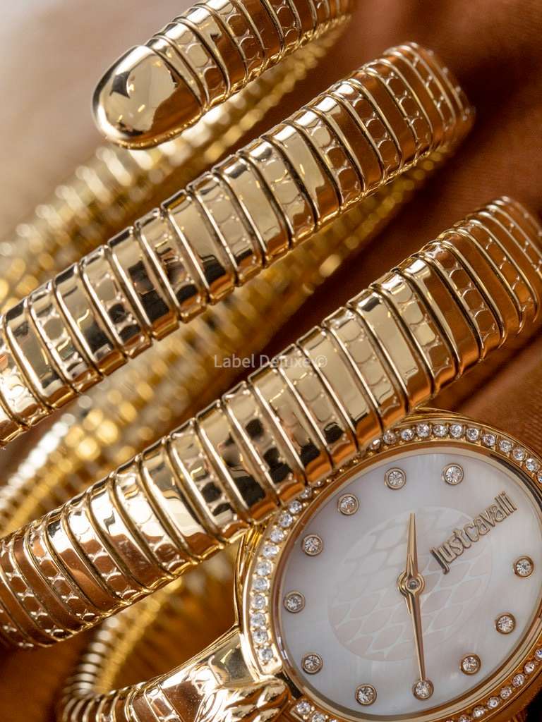 wow! rrp R8,900.00 ROBERO CAVALLI Womens JUST CAVALLI Bangle Viper Double Twist Silver Watch NEW