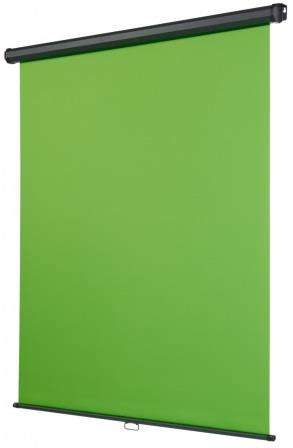 Esquire Manual Pull Down Ceiling or Wall Mounted