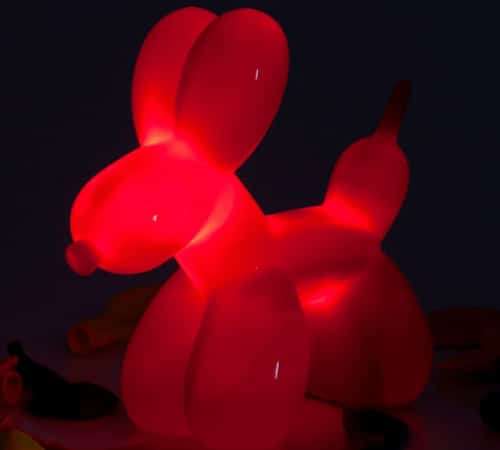 Balloon Dog Light
