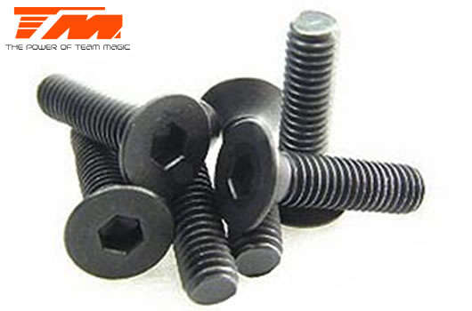 Screws - Flat Head - Hex (Allen) - M3 x 14mm (6 pcs) - 126314 - 0.10kg