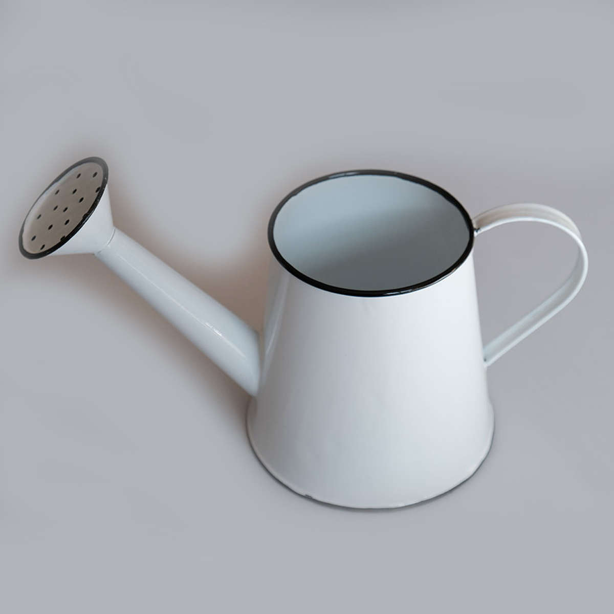 Watering Can / Flower Vase