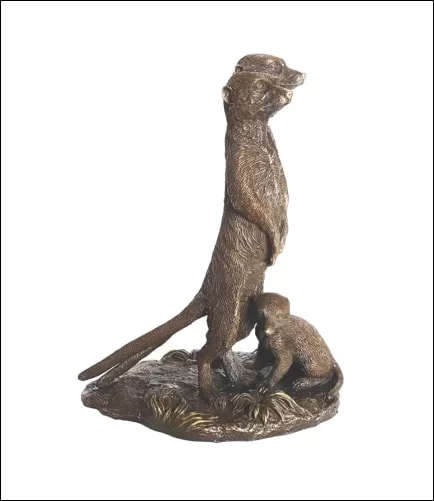 Meerkat Family