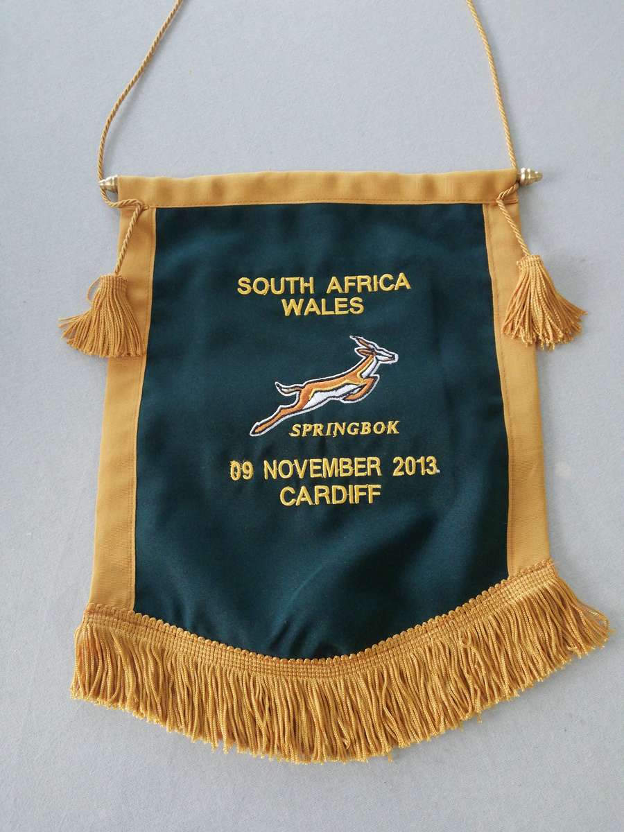 Springboks vs Wales 09.11.2013