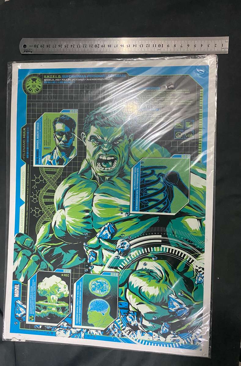 HULK Poster